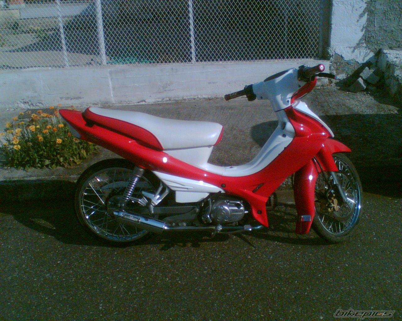 Photo 1009044