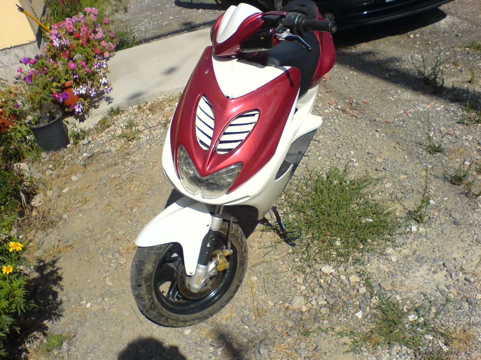 Photo 1009099