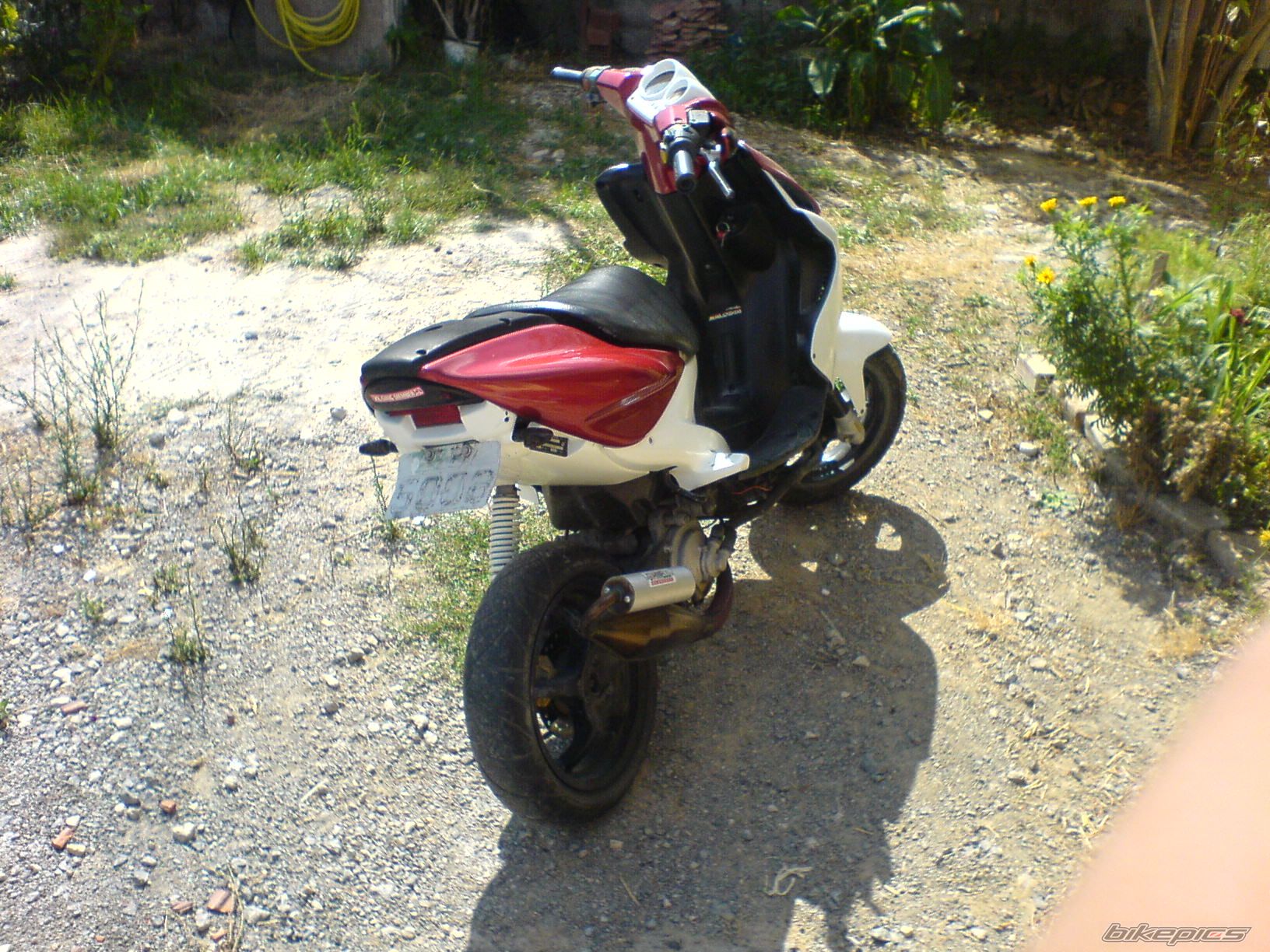 Photo 1009104