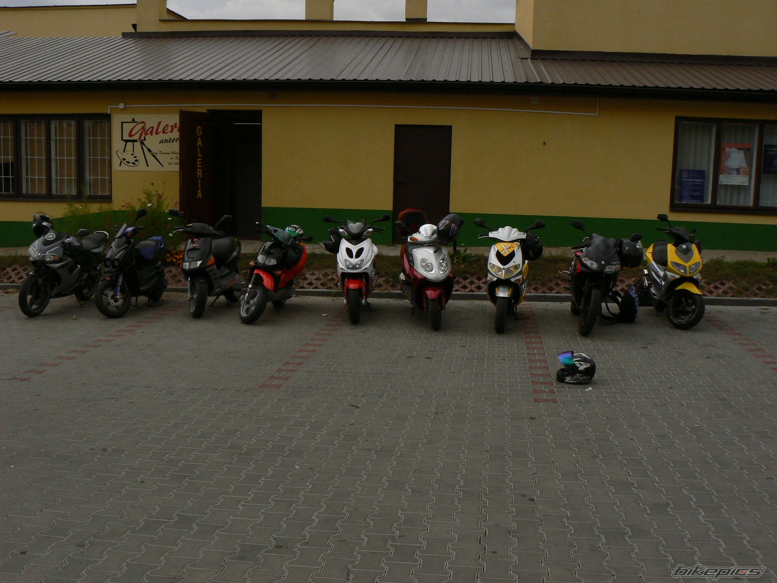 Photo 1009174