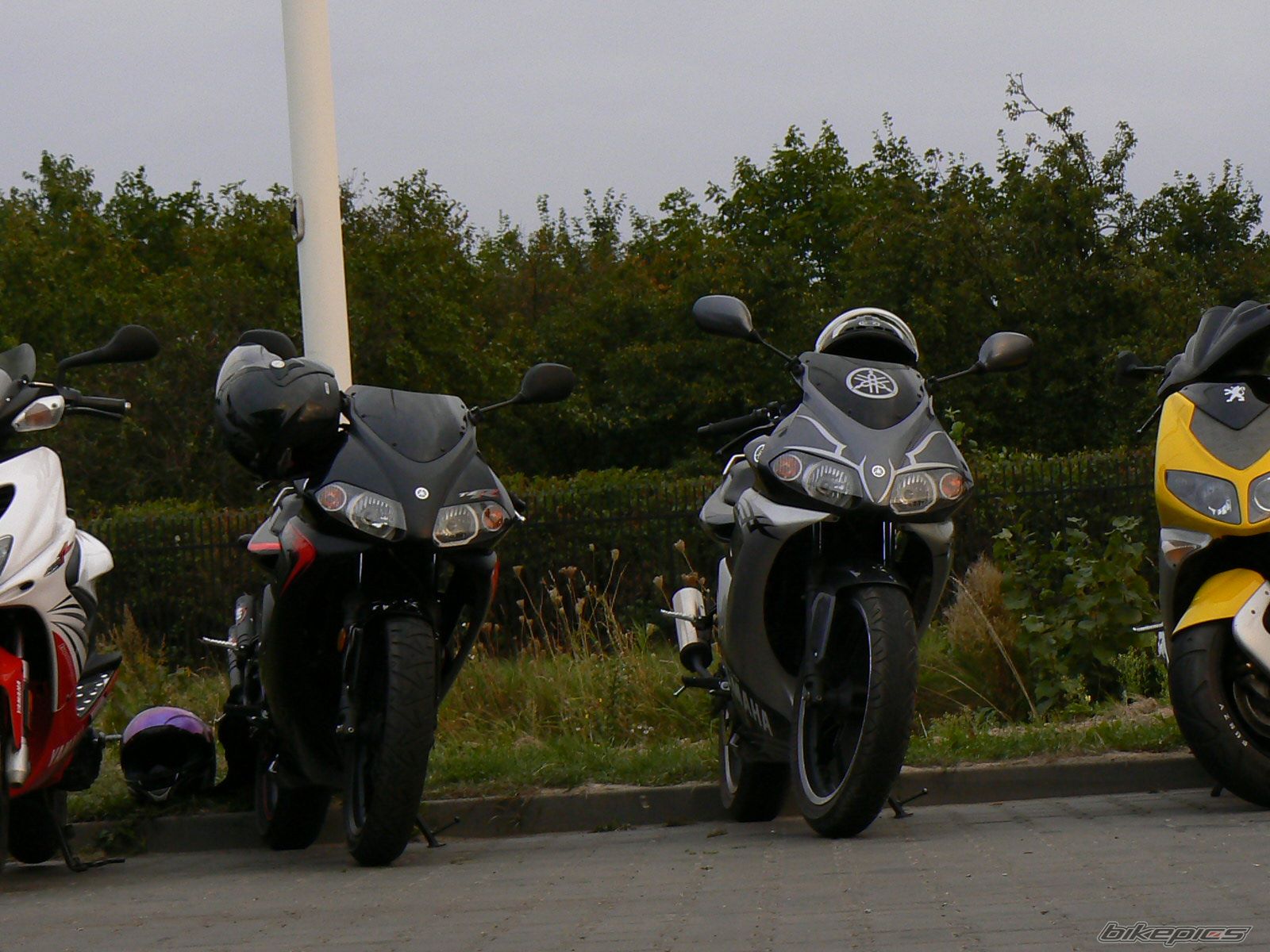 Photo 1009186
