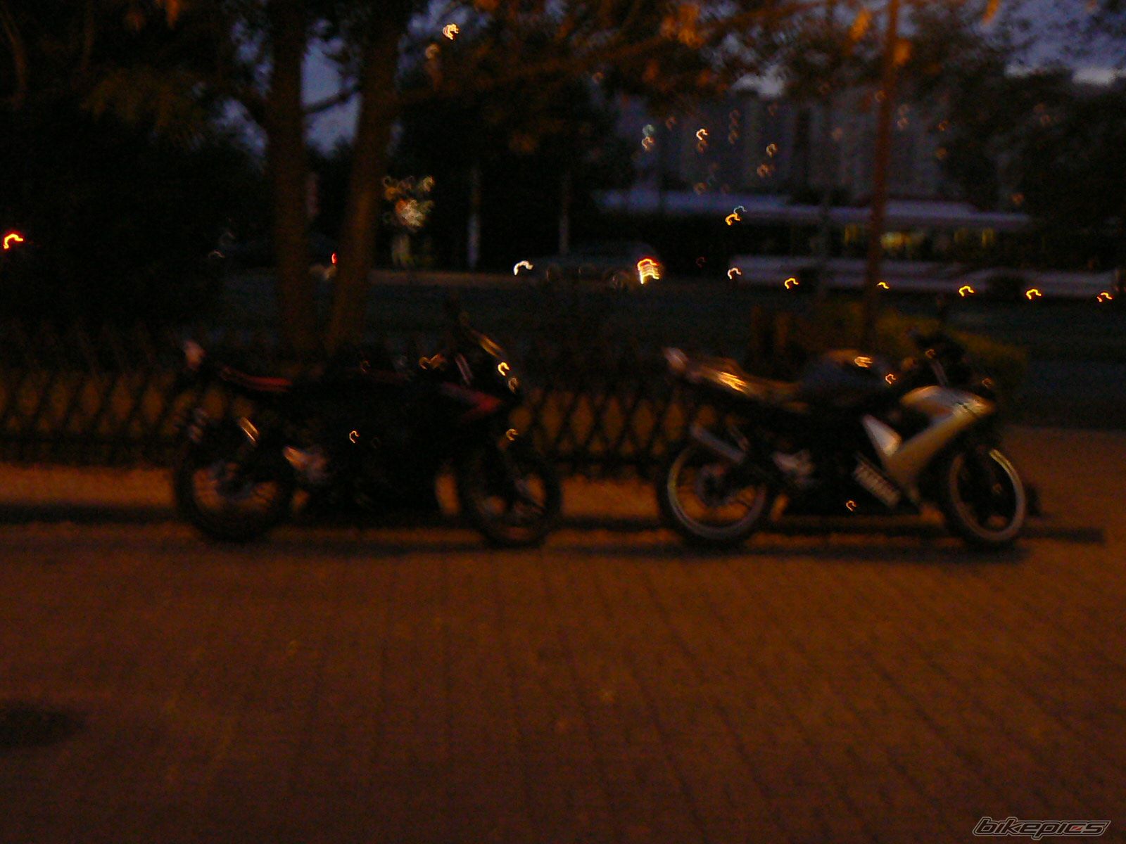 Bike Photo 1009187