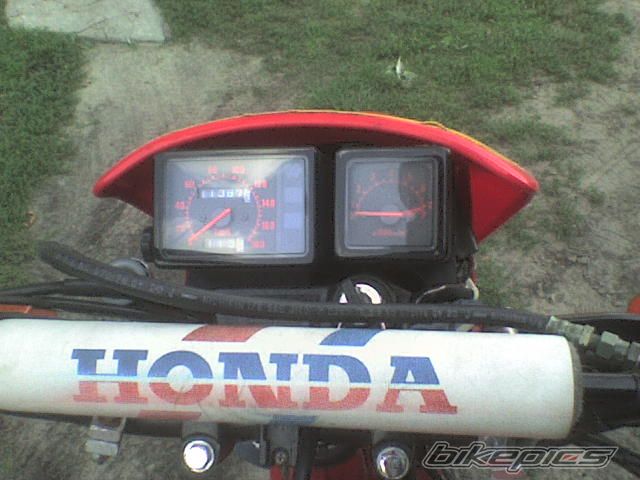 Photo 1009216