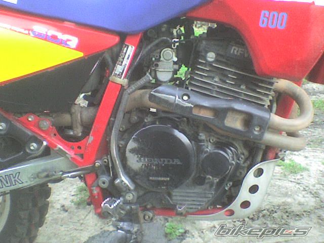 Photo 1009221