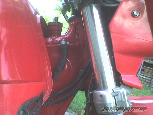 Photo 1009222
