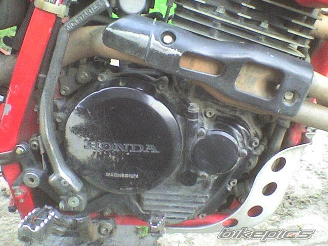 Photo 1009224