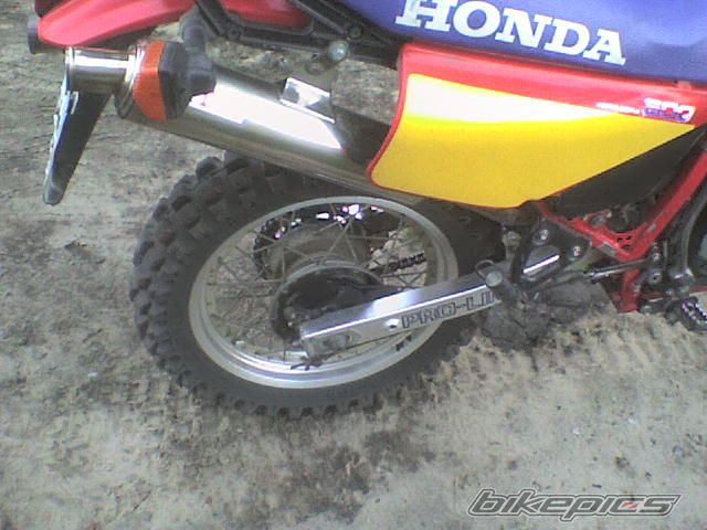 Photo 1009225
