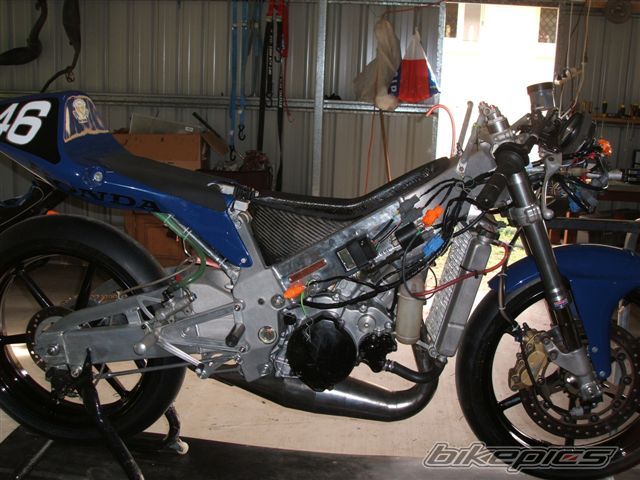 Photo 1009308