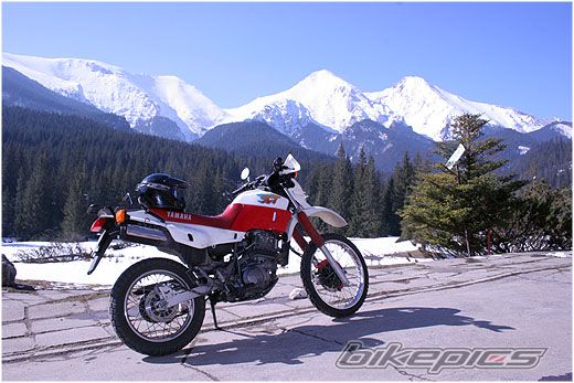 Photo 1009354