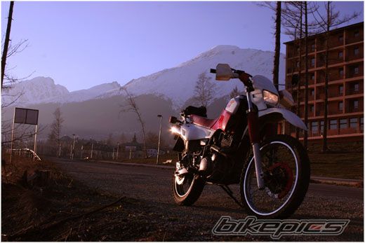 Photo 1009361