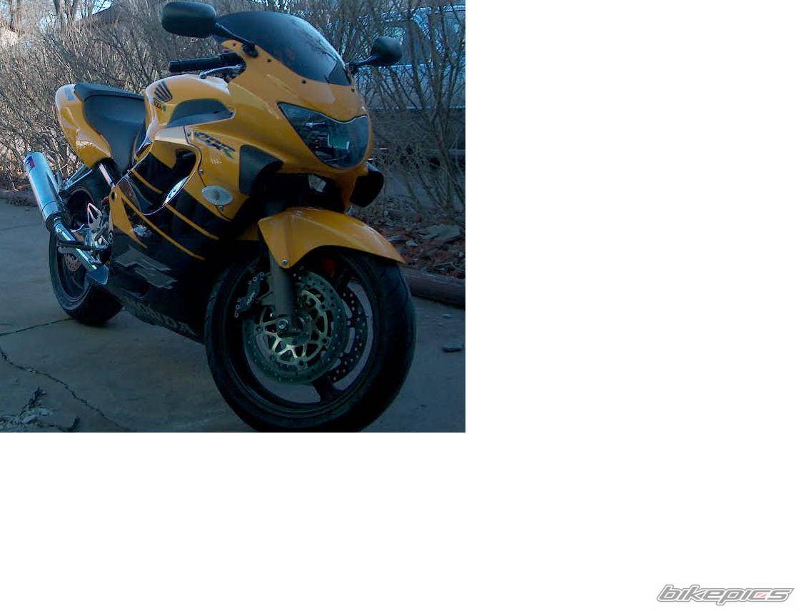 Photo 100937