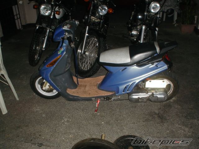 Photo 1009388
