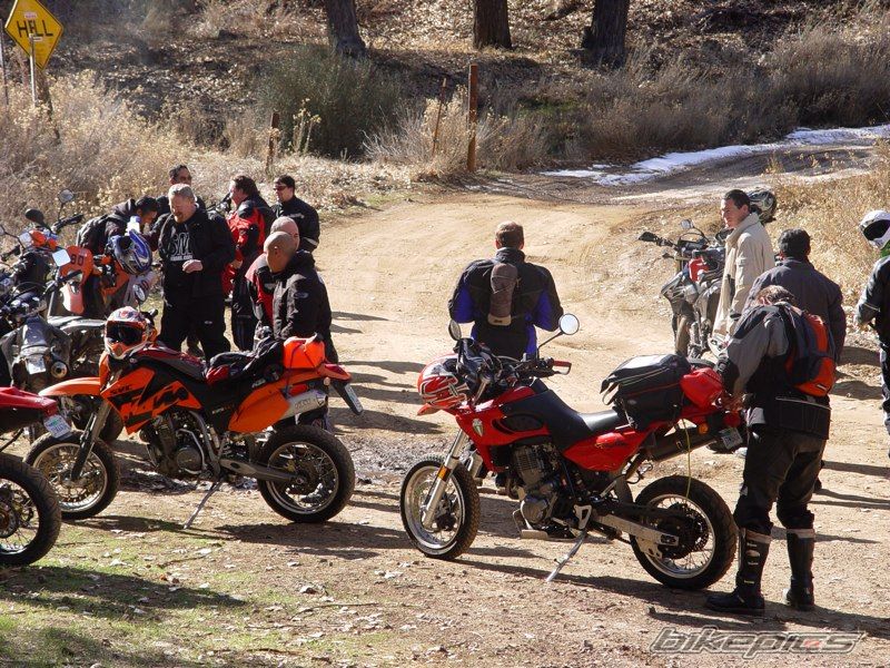Bike Photo 1009412
