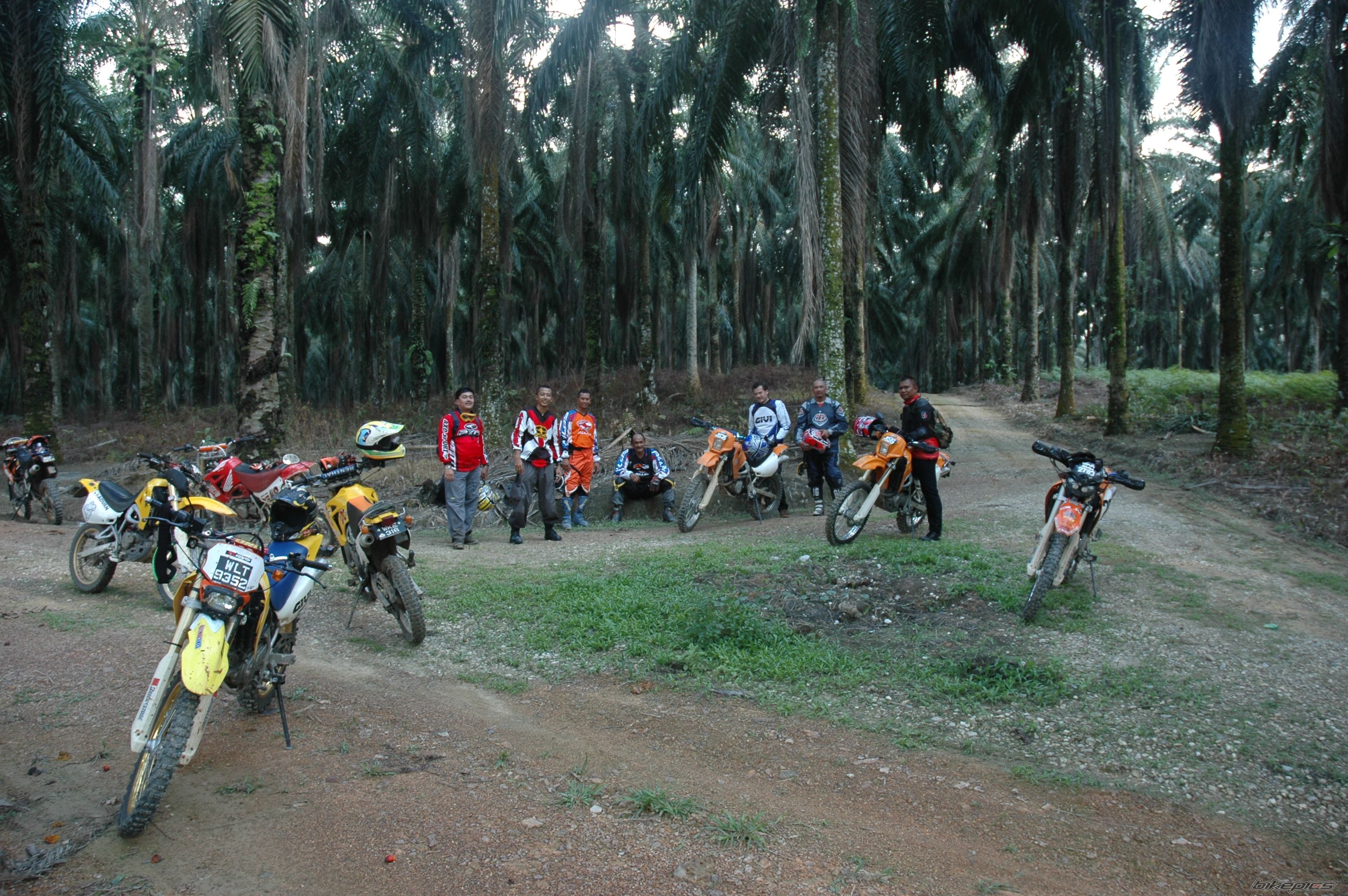 Photo 1009443