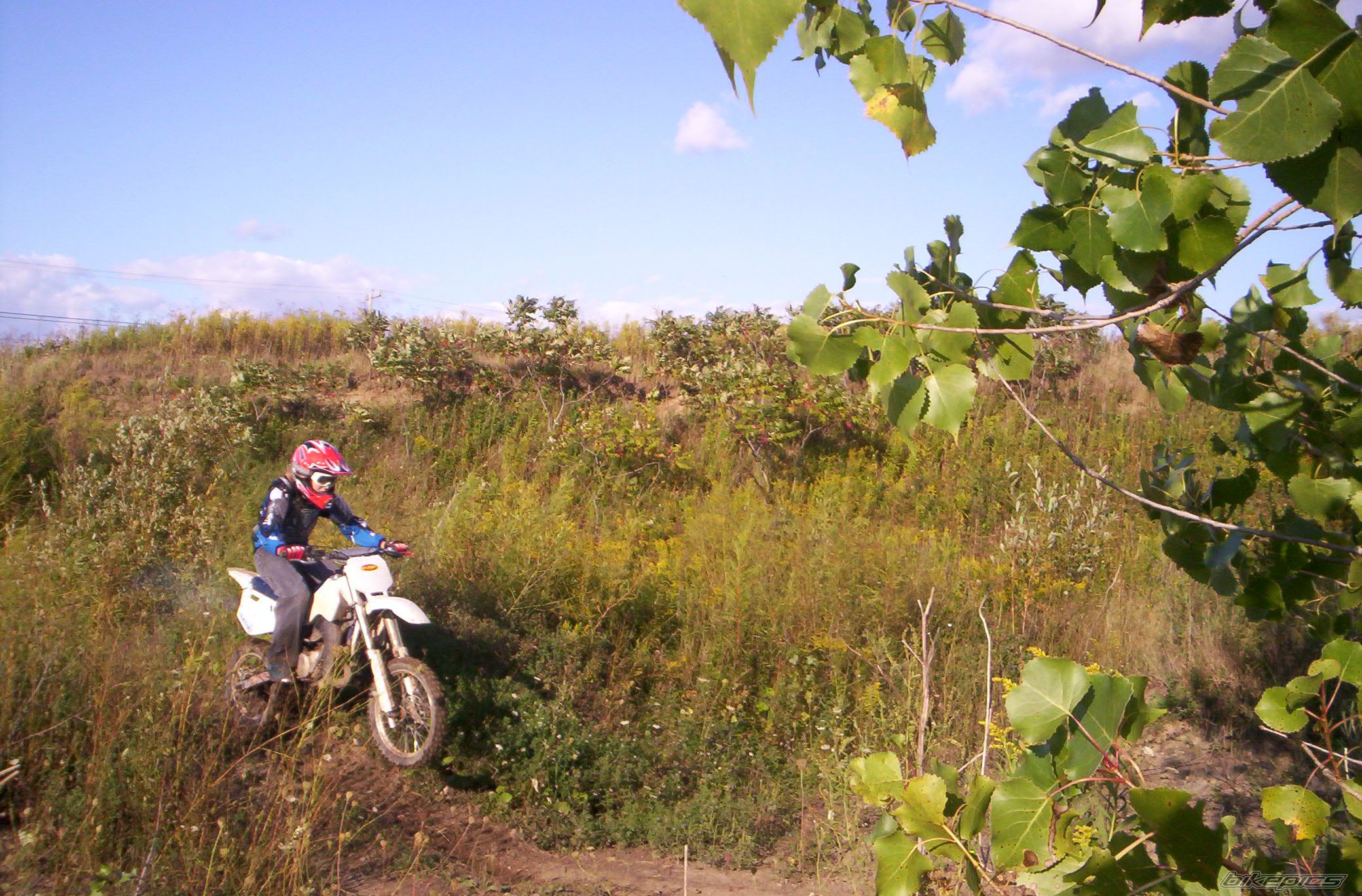 Photo 1009479