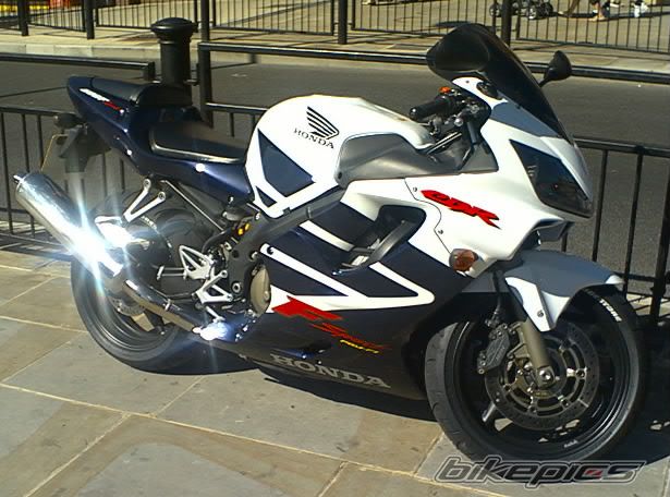 Photo 1009546