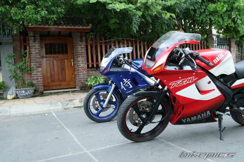 Photo 1009622