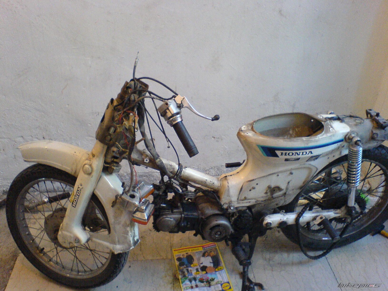 Photo 1009623