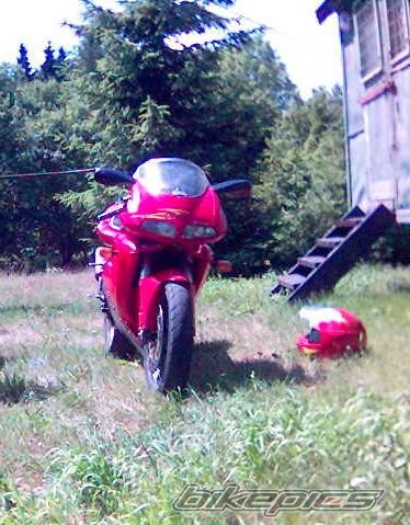 Photo 1009738