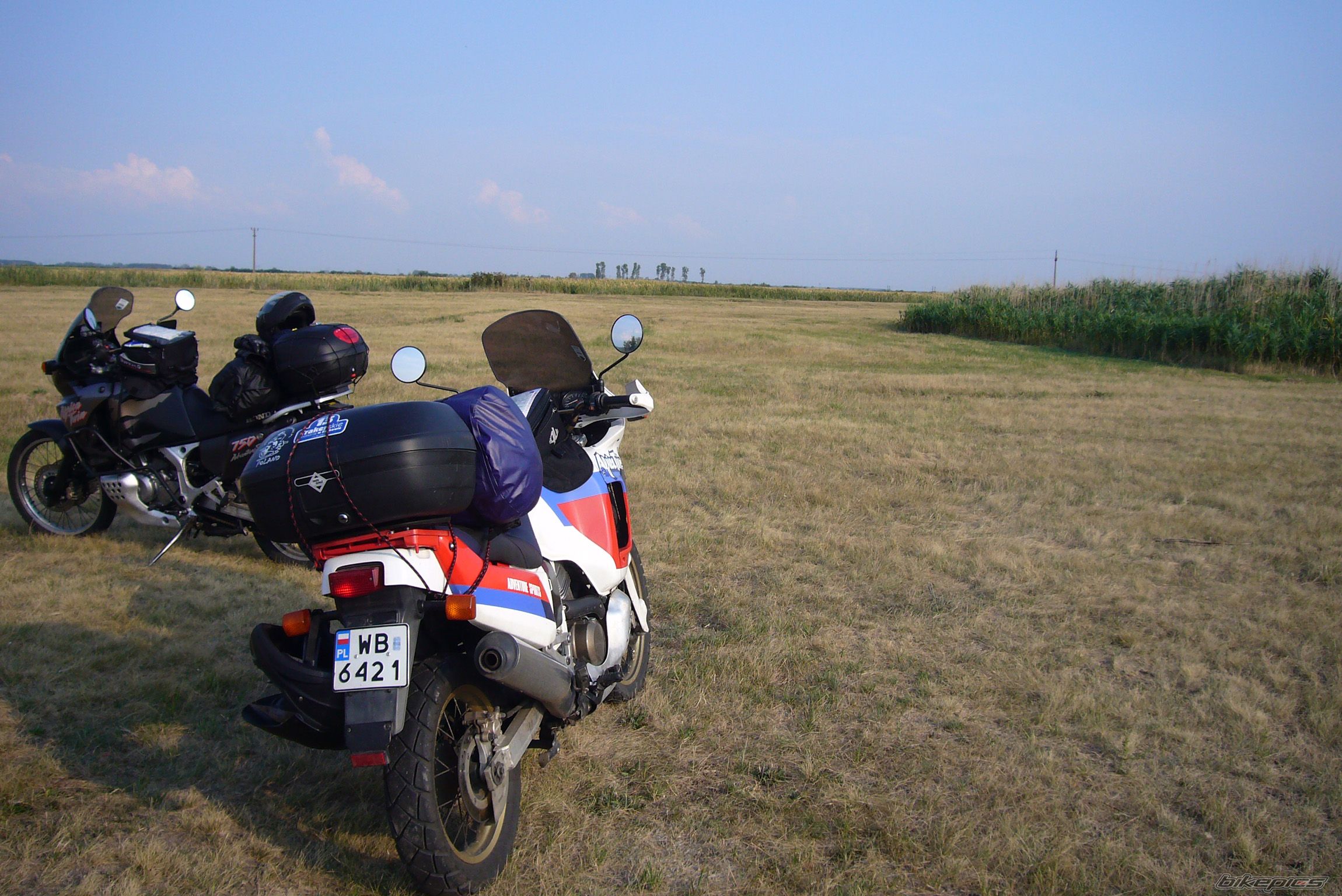Photo 1009745