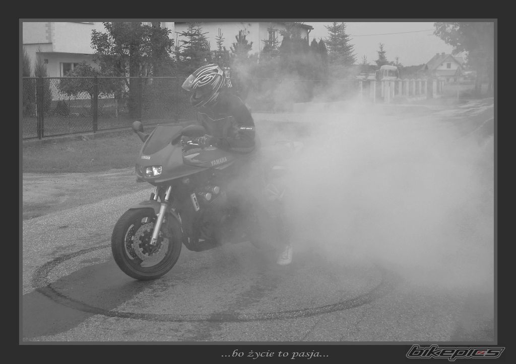 Photo 1009819