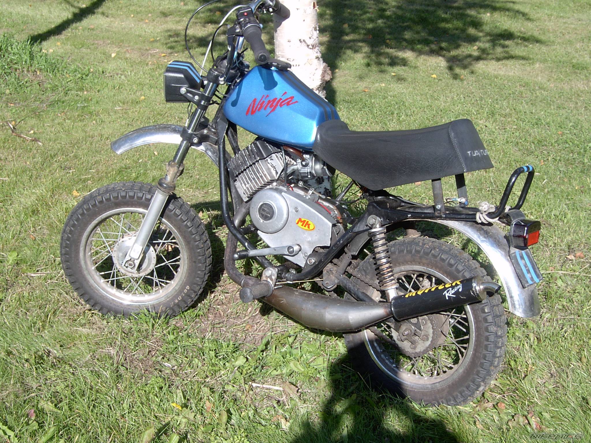 Photo 100984