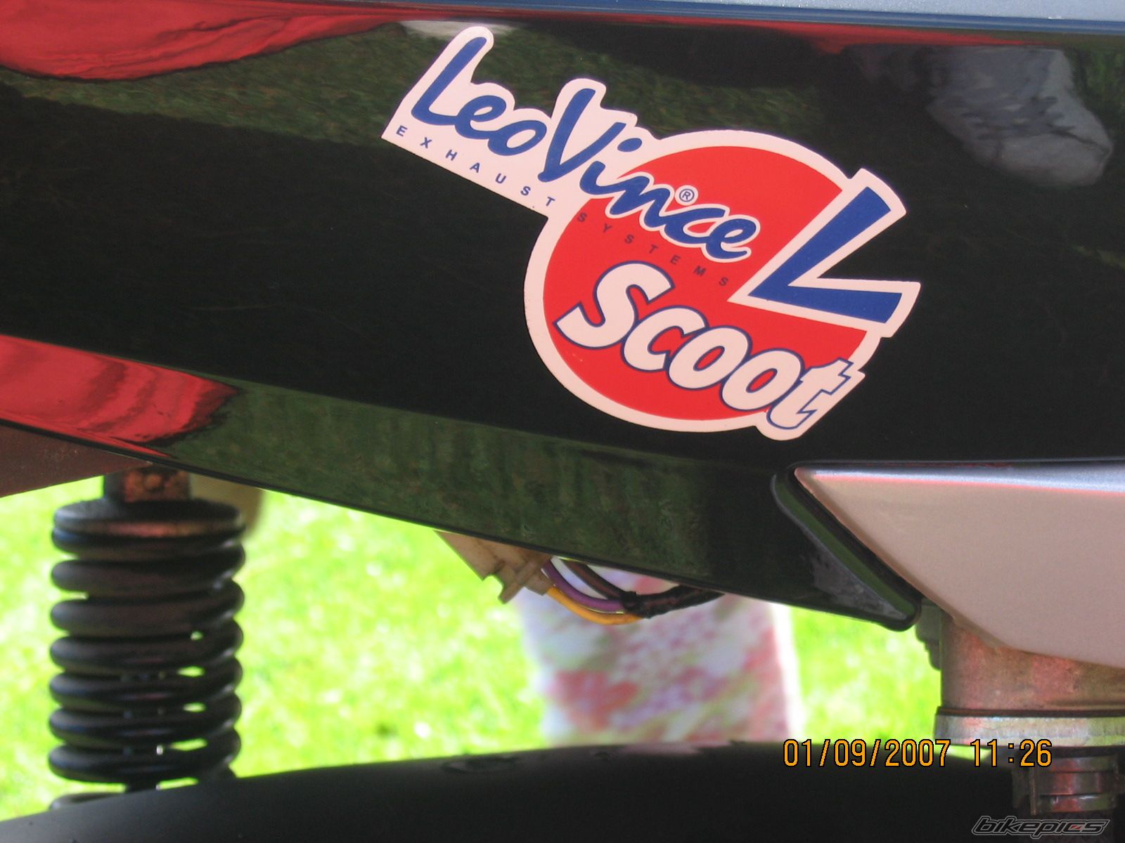 Photo 1009849