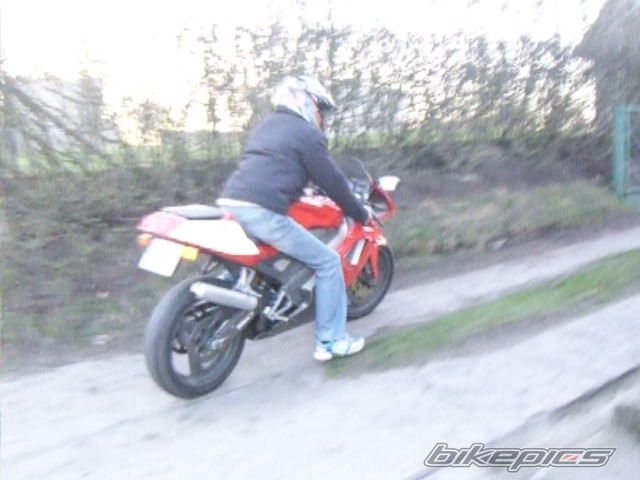 Photo 1009853
