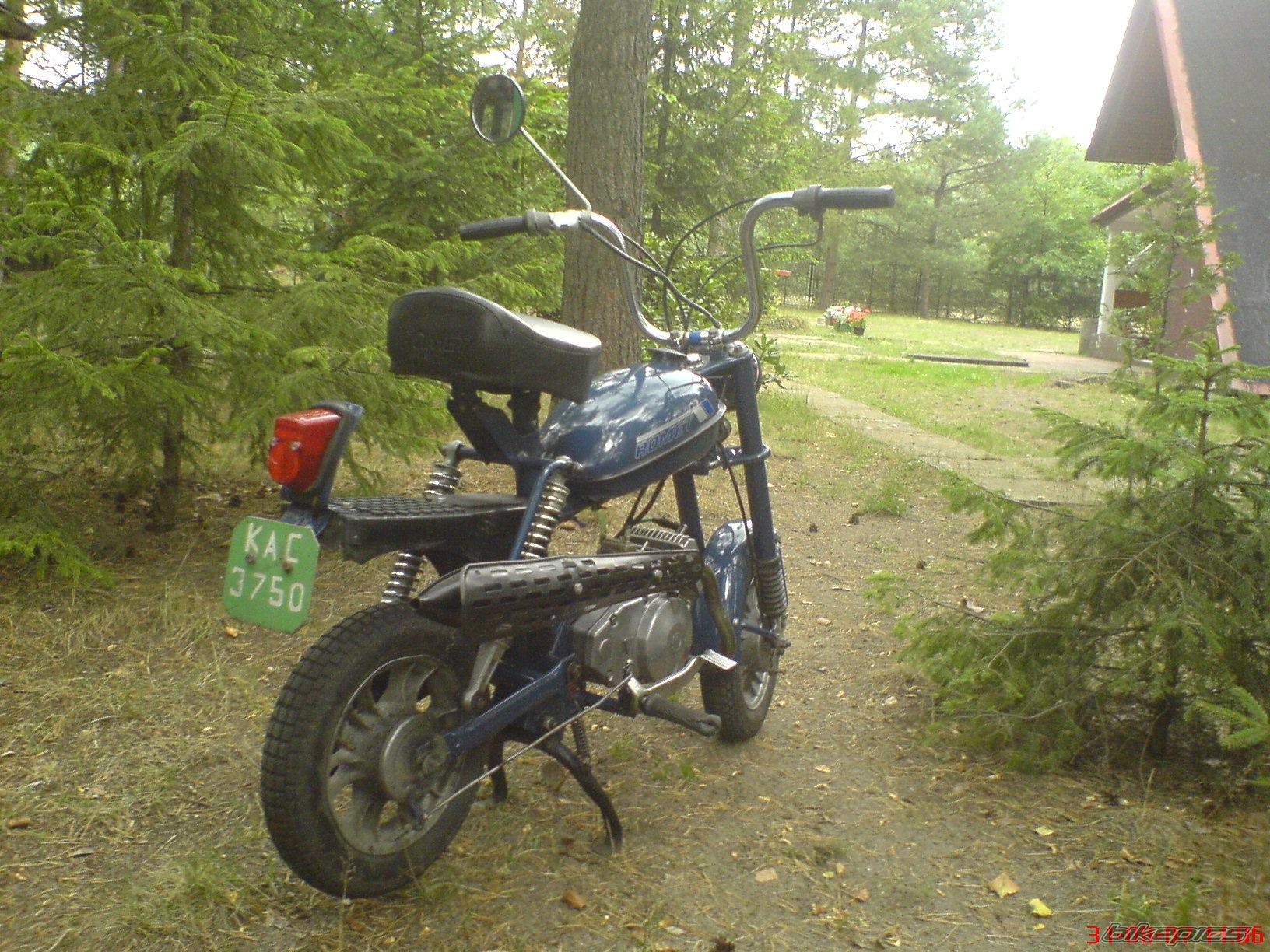 Photo 1009856