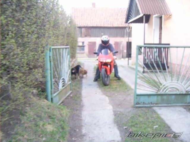 Bike Photo 1009865