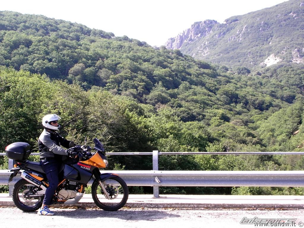 Photo 1009969