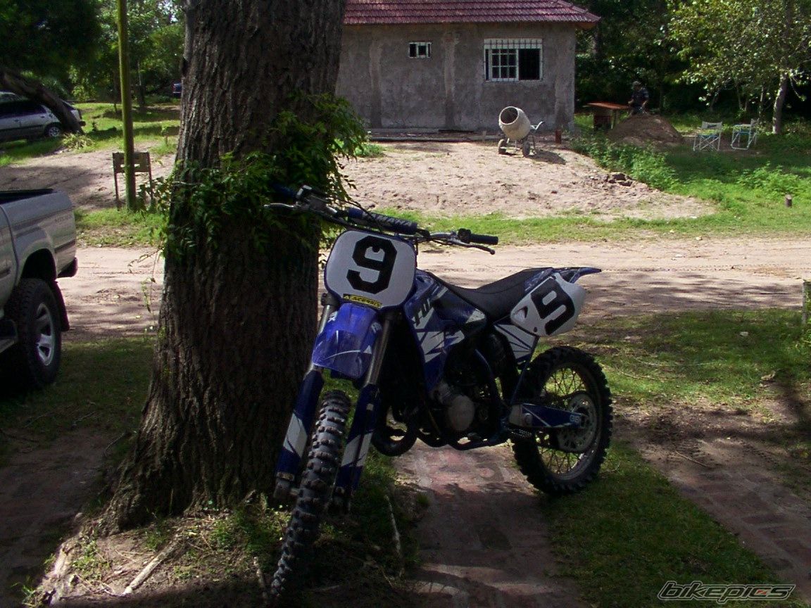 Photo 1009981