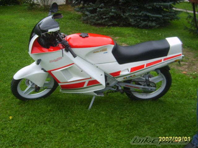 Photo 1009990