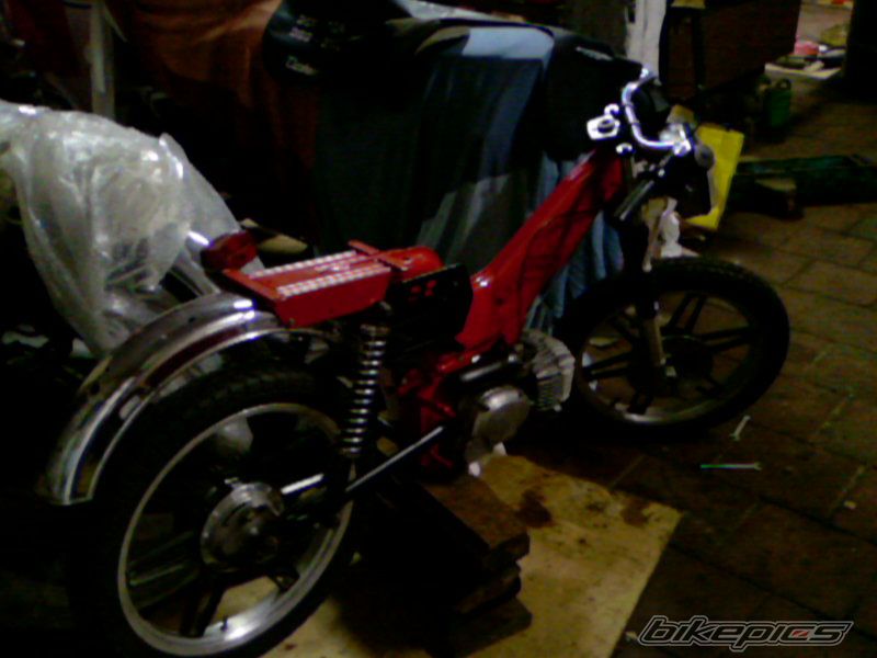 Photo 1010019