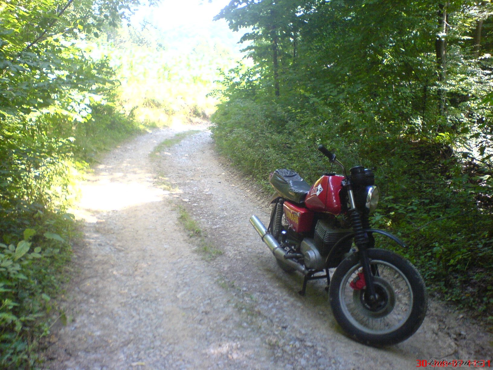 Photo 1010215