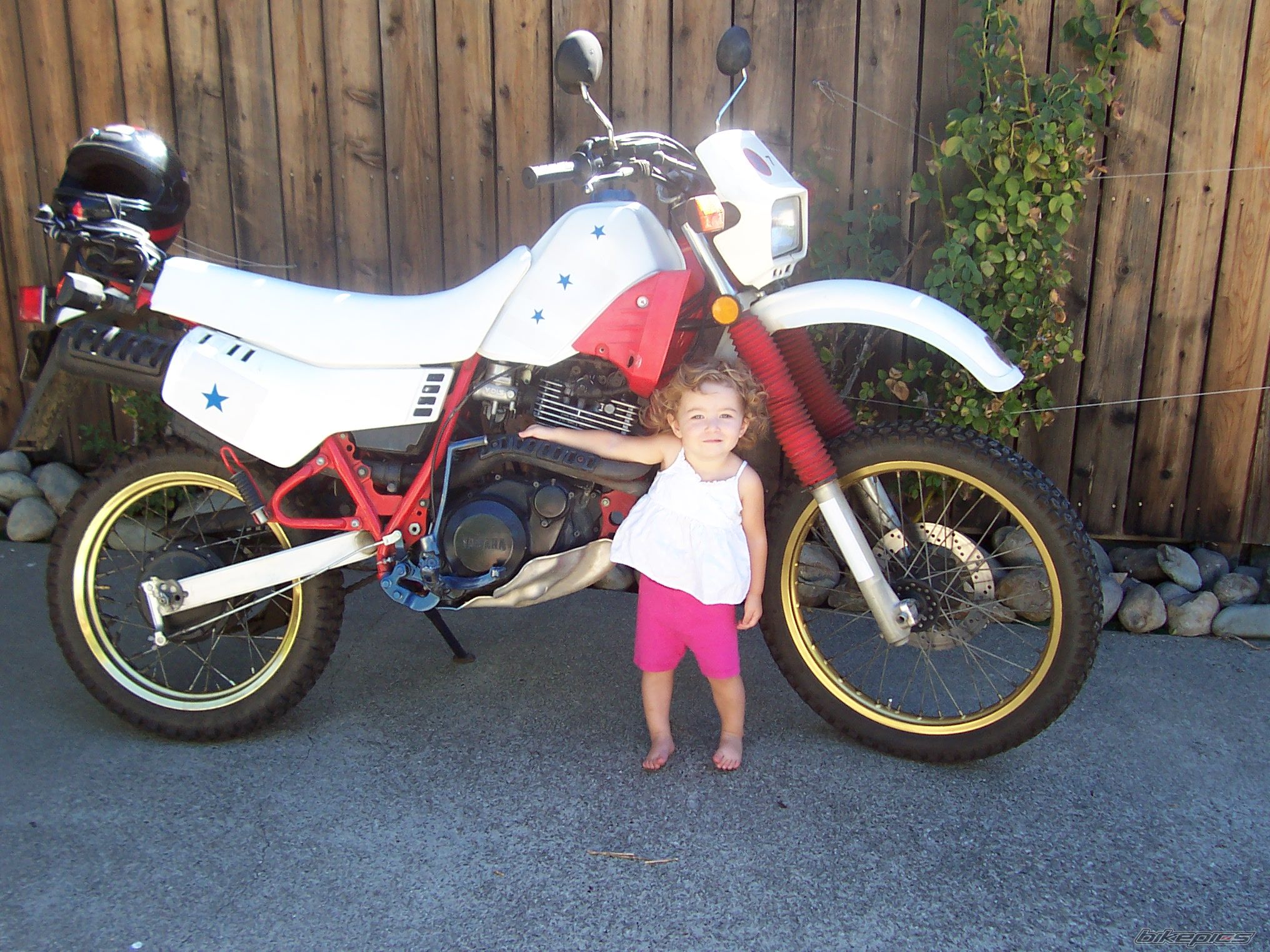 Bike Photo 1010221