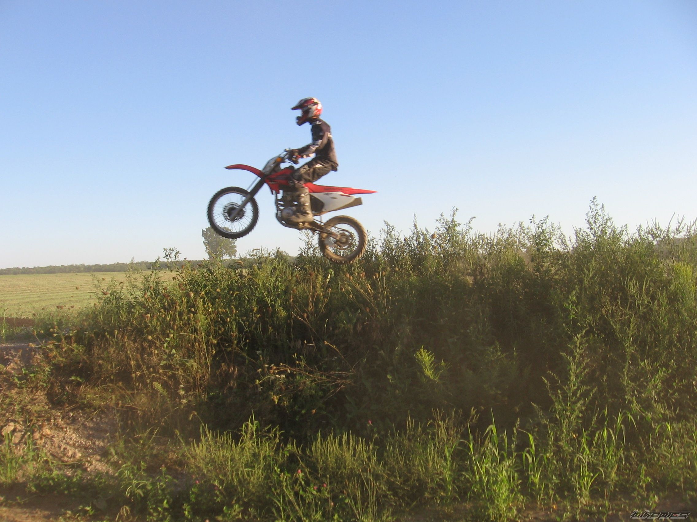 Photo 1010320