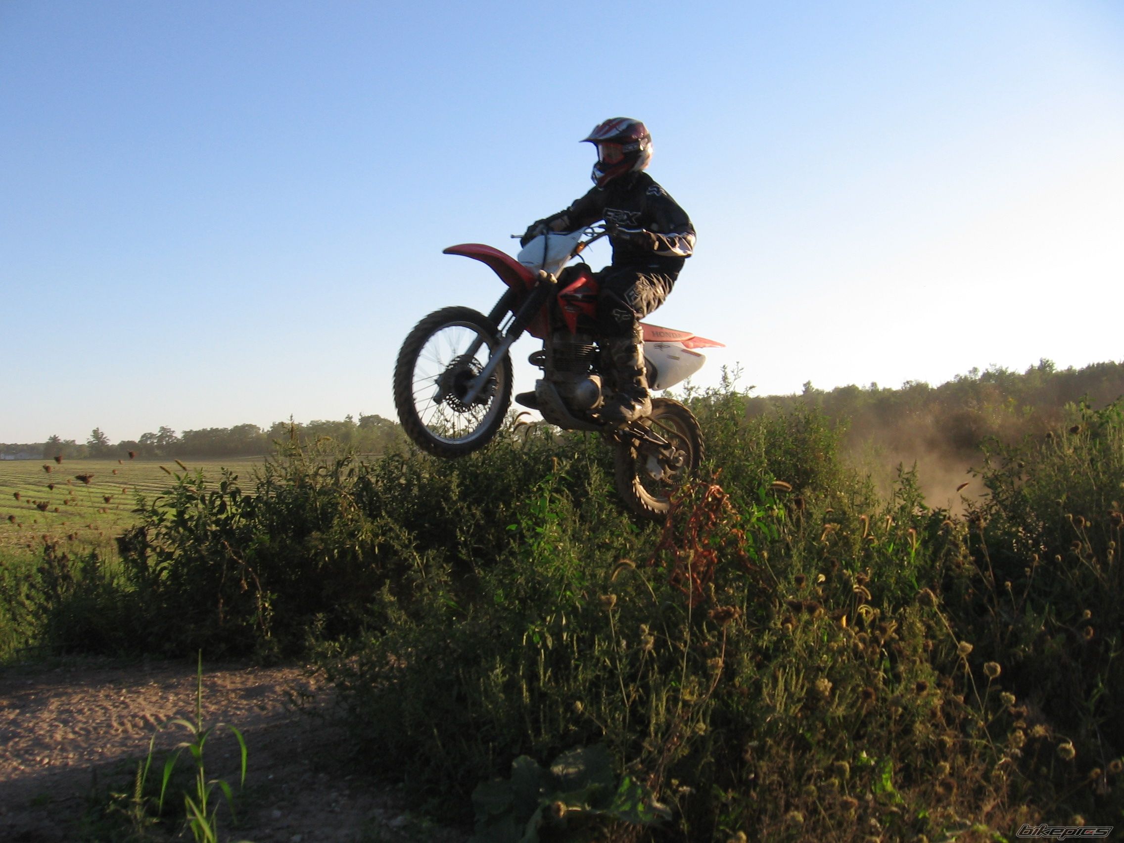 Photo 1010323