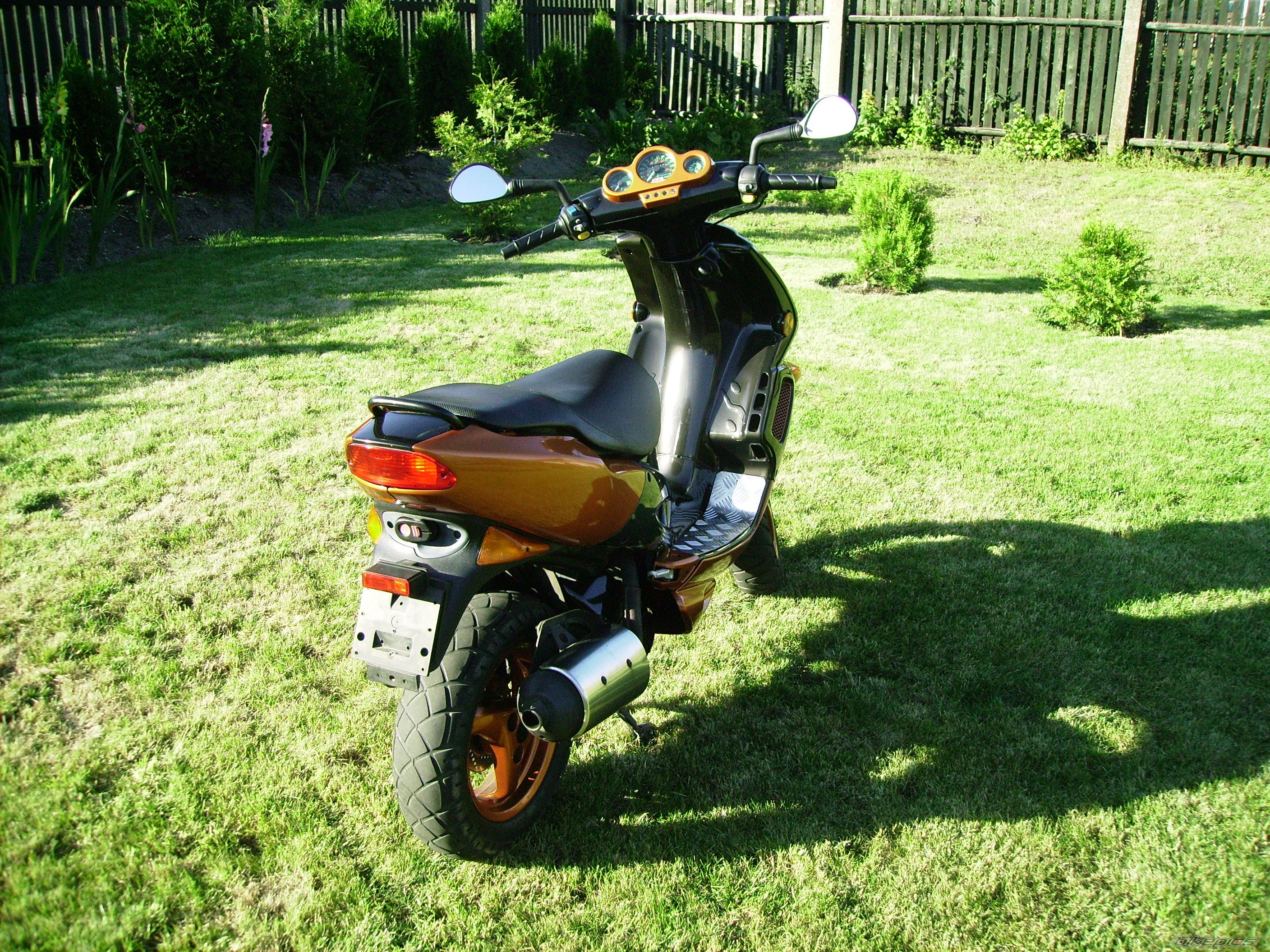 Photo 1010339