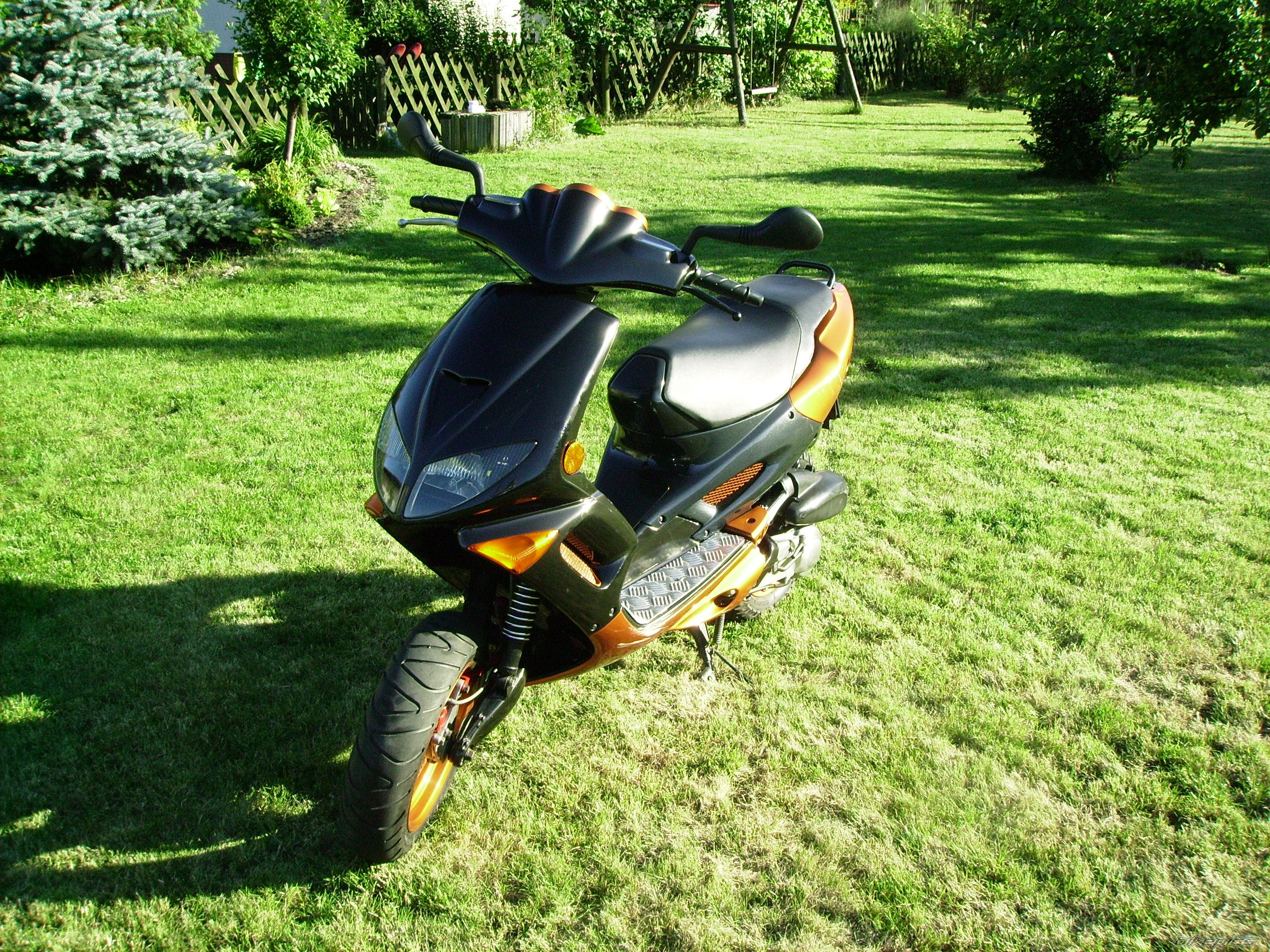 Photo 1010355