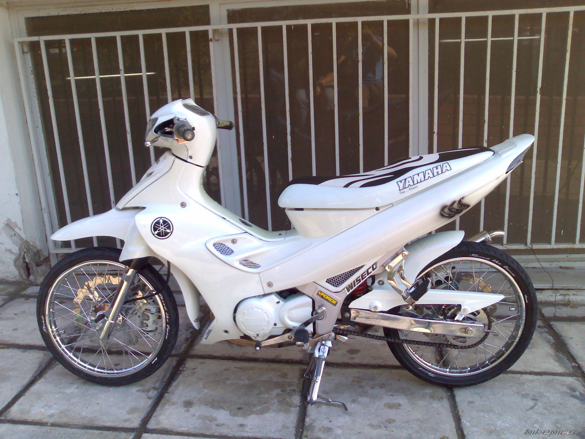 Photo 1010363
