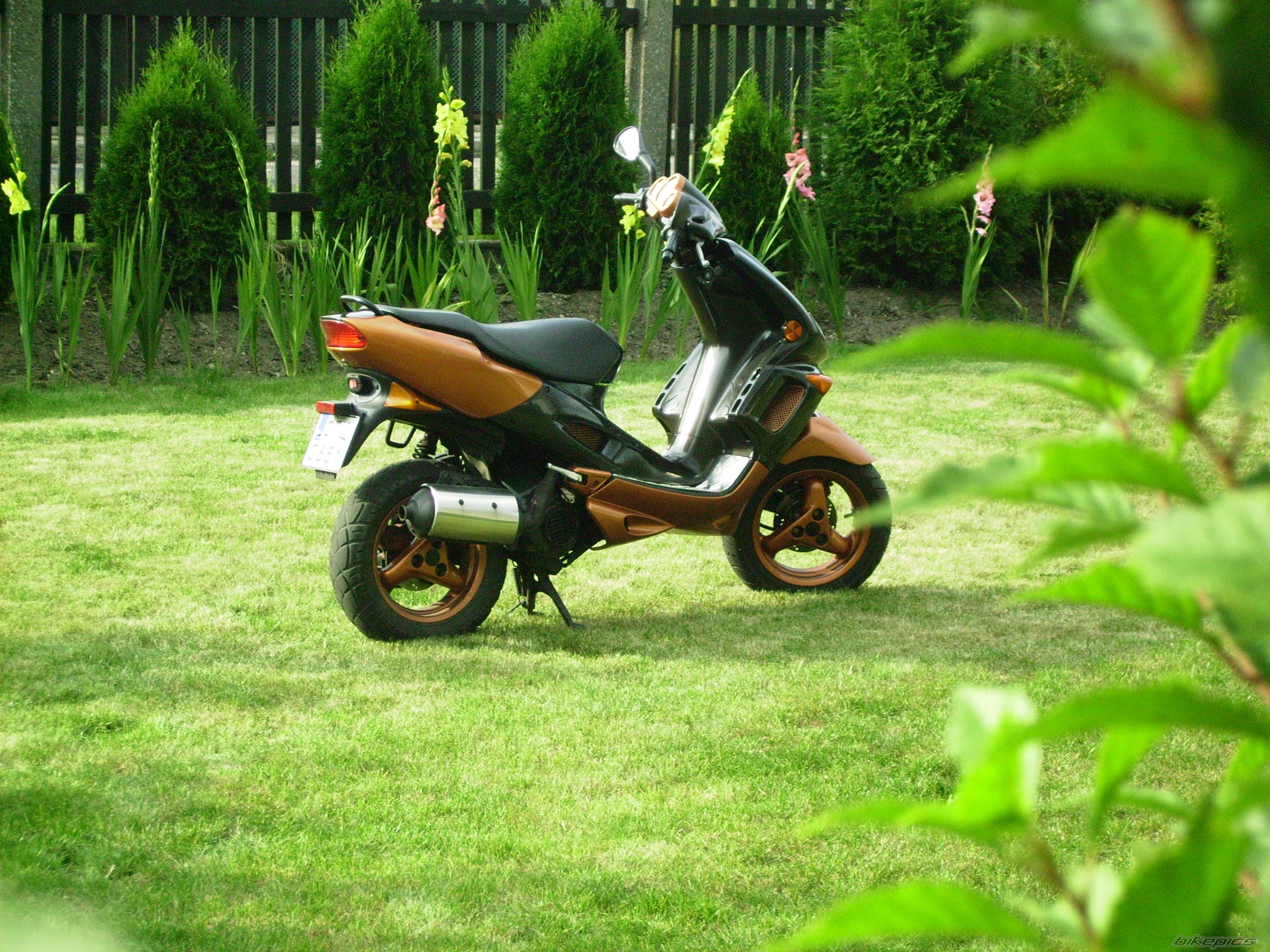 Photo 1010364