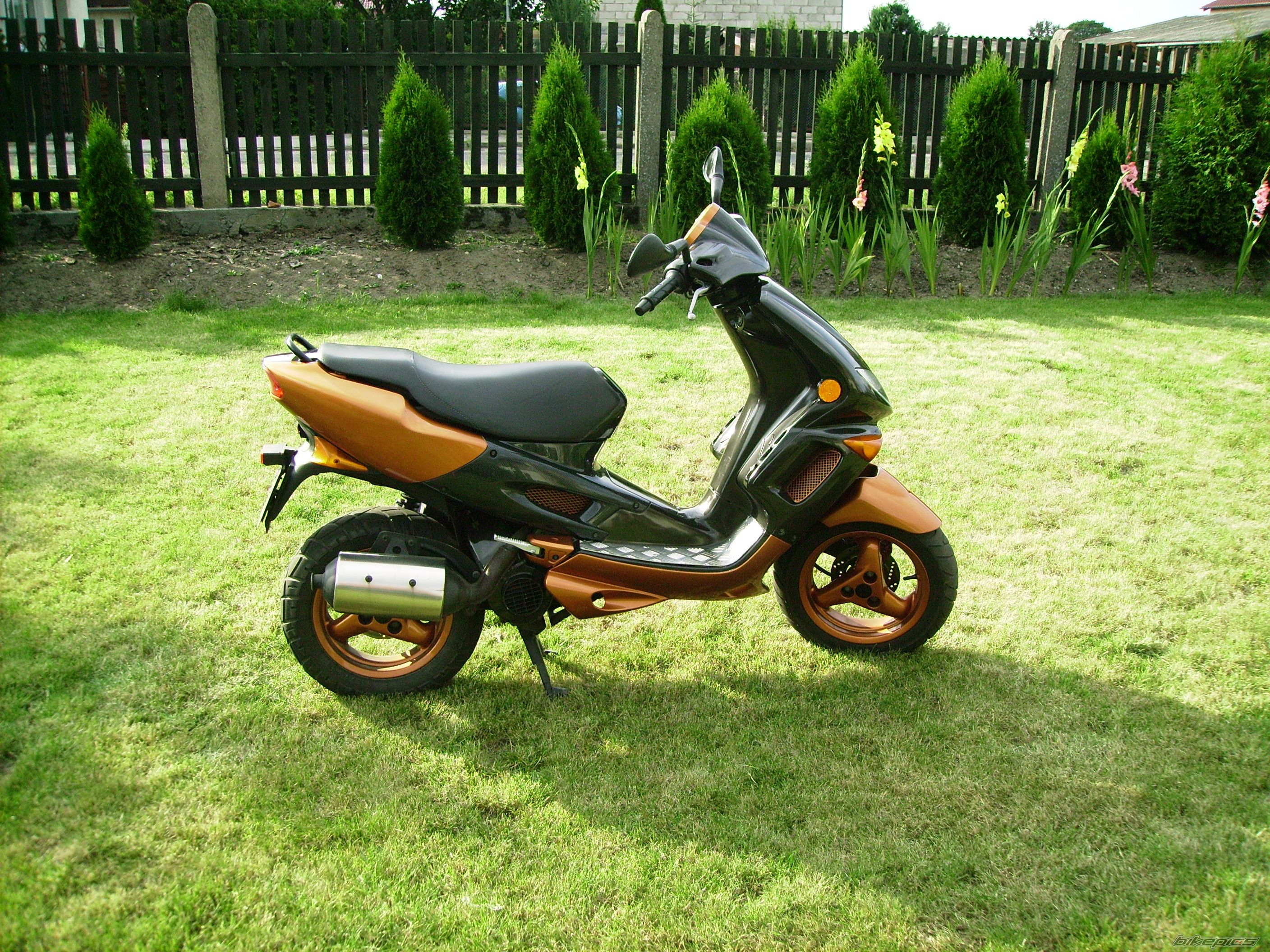 Photo 1010378