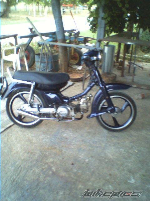 Photo 1010397