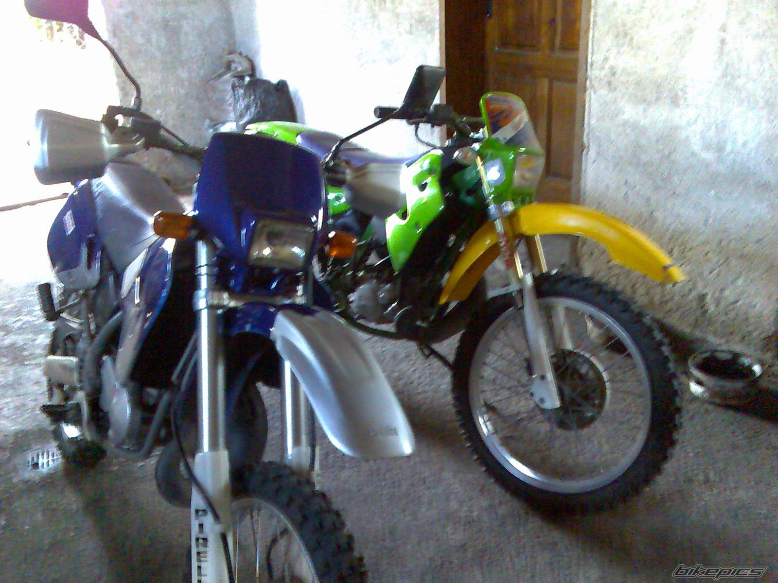 Photo 1010412