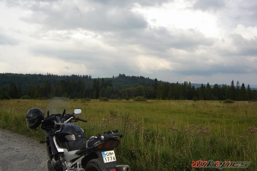 Photo 1010434