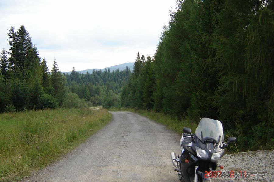 Photo 1010436