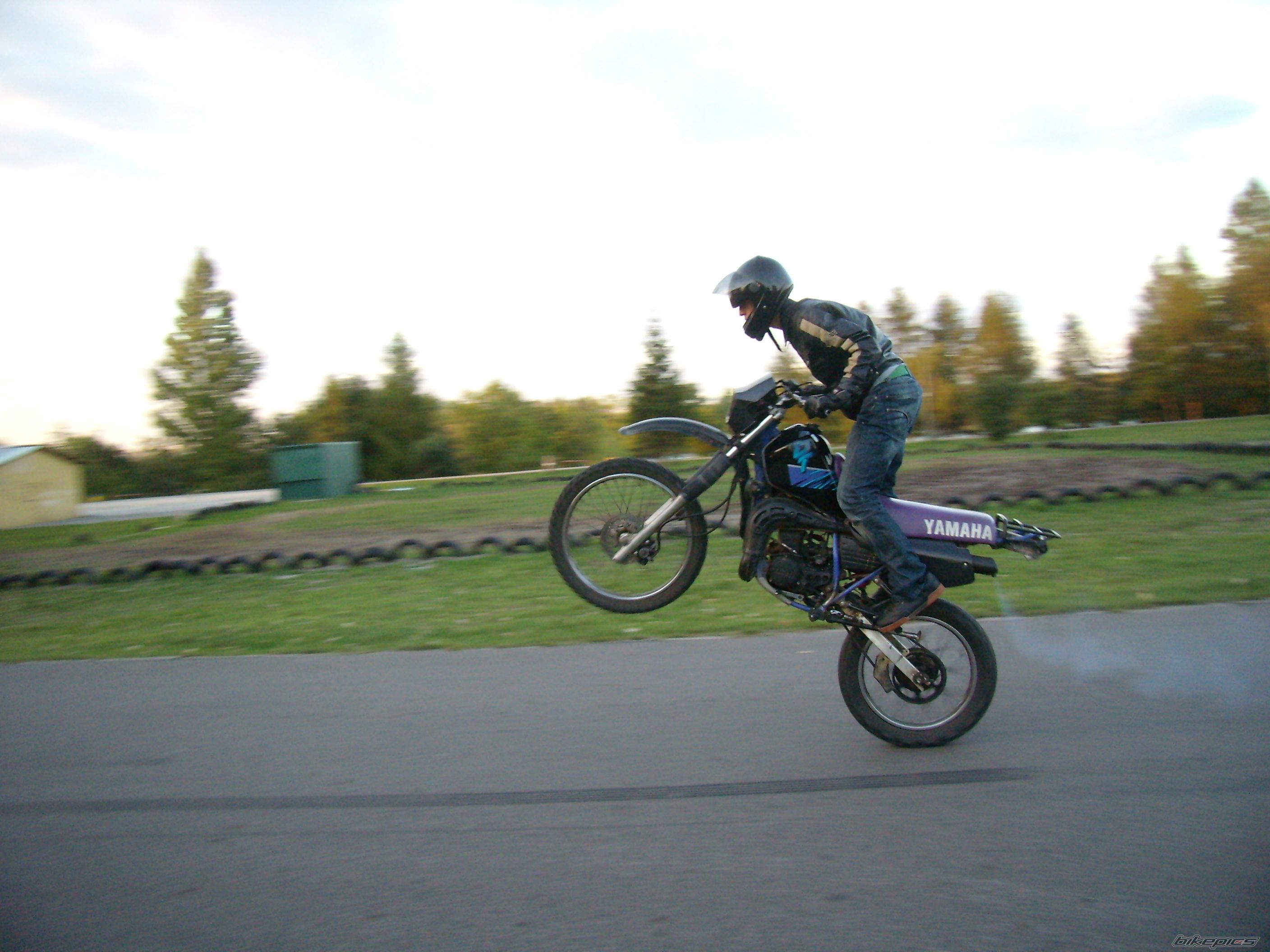 Photo 1010556