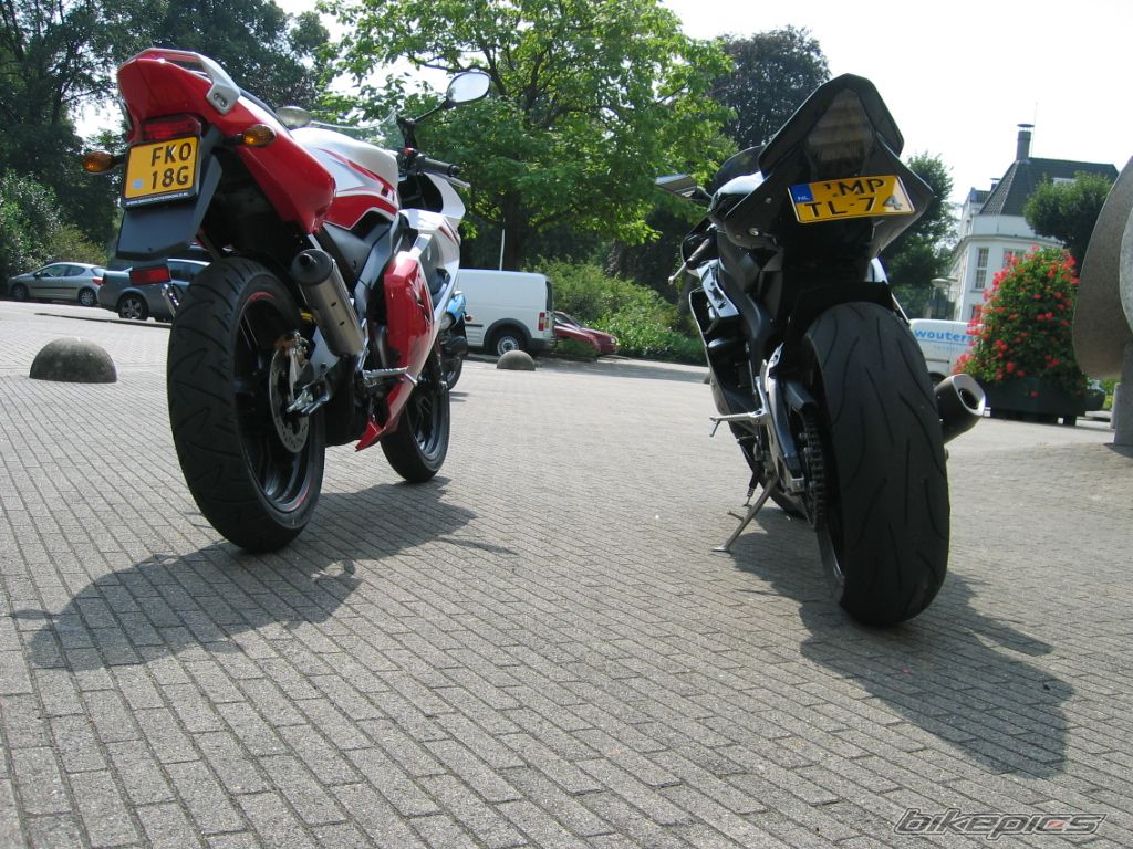 Photo 1010559