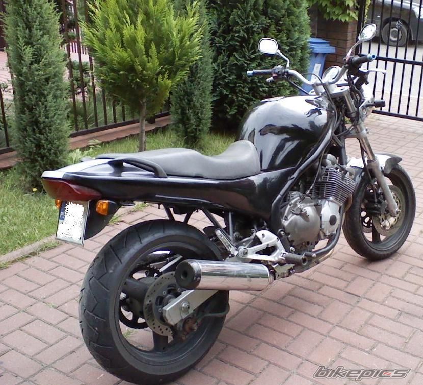 Photo 1010573